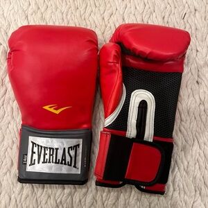 Everlast 14onz Boxing gloves